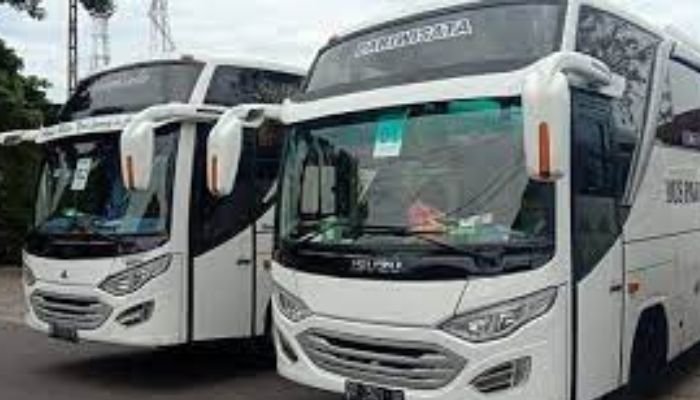 Apakah anda ingin mencari layanan sewa bus di Bali? jika benar, selamat anda berada di website yang tepat. Dewata Trans indo perkasa melayani sewa bus pariwisata sesuai kebutuhan dengan kapasitas 30 - 45 seat